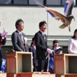 Crested Ibises Get the Royal Treatment in Japan as They Fly Again
