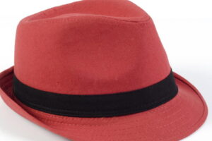 Dozens of Red Hat packages backdoored through its official NPM channel