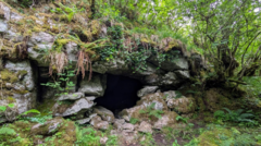 Ancient cave art discovery suggests first known humans in Ireland walked over from Wales